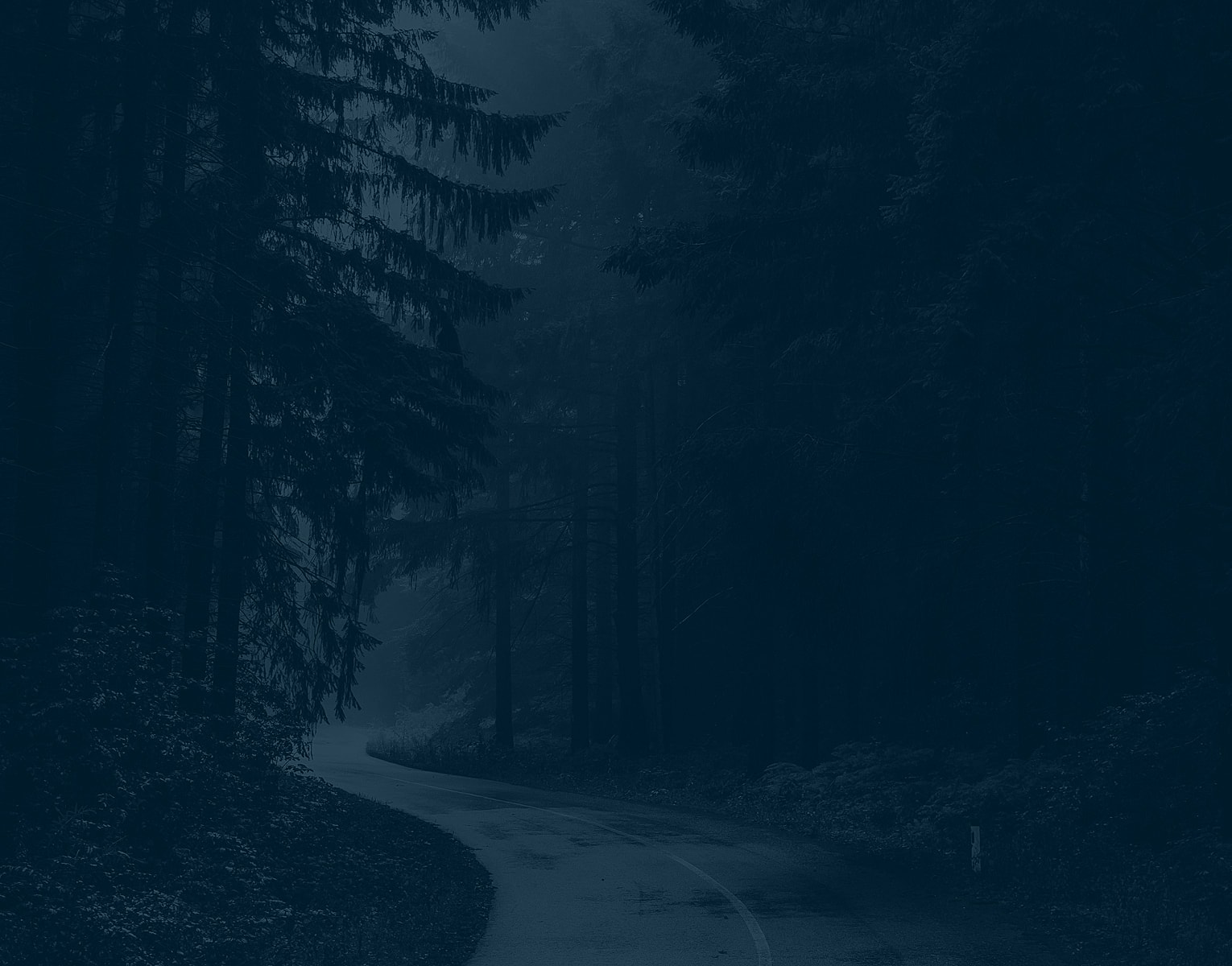 Winding road through a dark forest landscape.